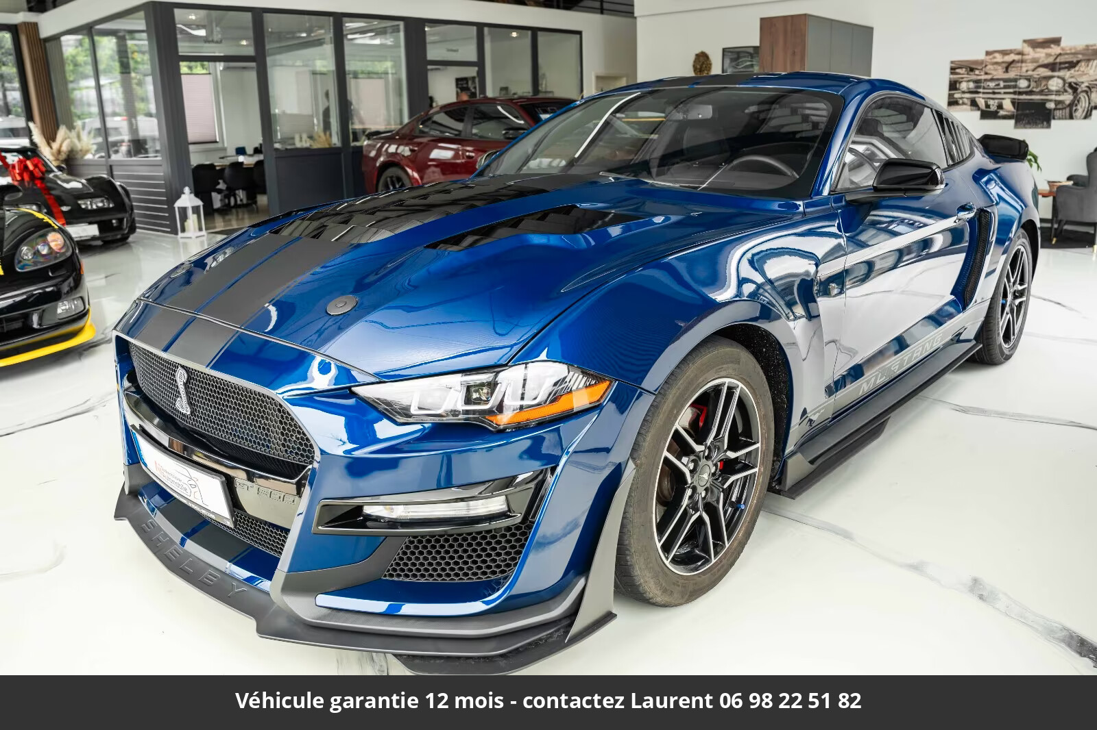 Mustang Annonce