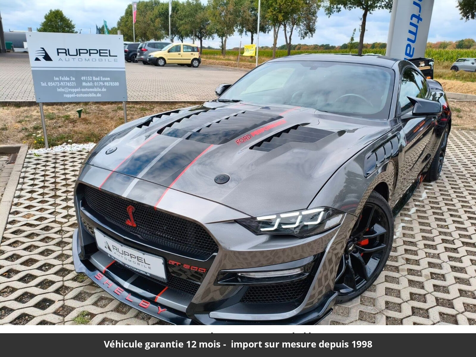 Ford Mustang Pack Shelby V8 5.0L 2016 40 890 € - neuf Europe
