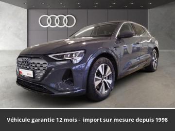2023 Audi Q8 e-tron en Frankfurt am Main pour 34 850 € | mobile.de advanced Disponible Allemagne