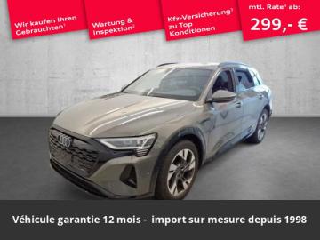 2023 Audi Q8 e-tron advanced Disponible Allemagne